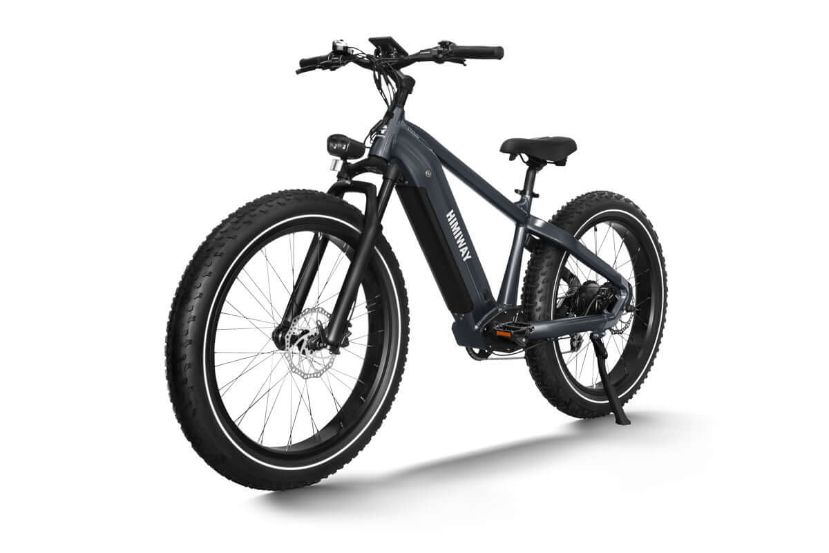 Zebra All-Terrain-E-Bike - - von SXT-Scooters