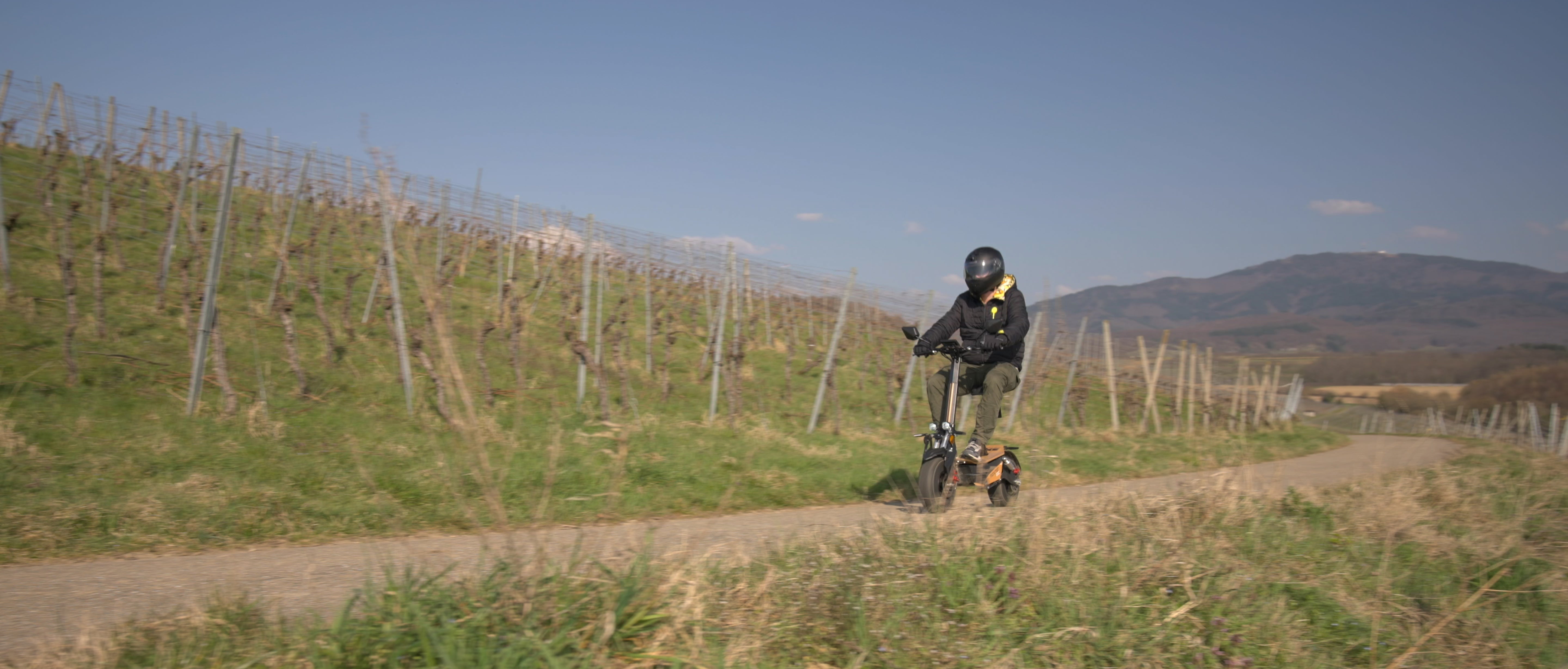 Monster_EEC_3.jpg - SXT-Scooters