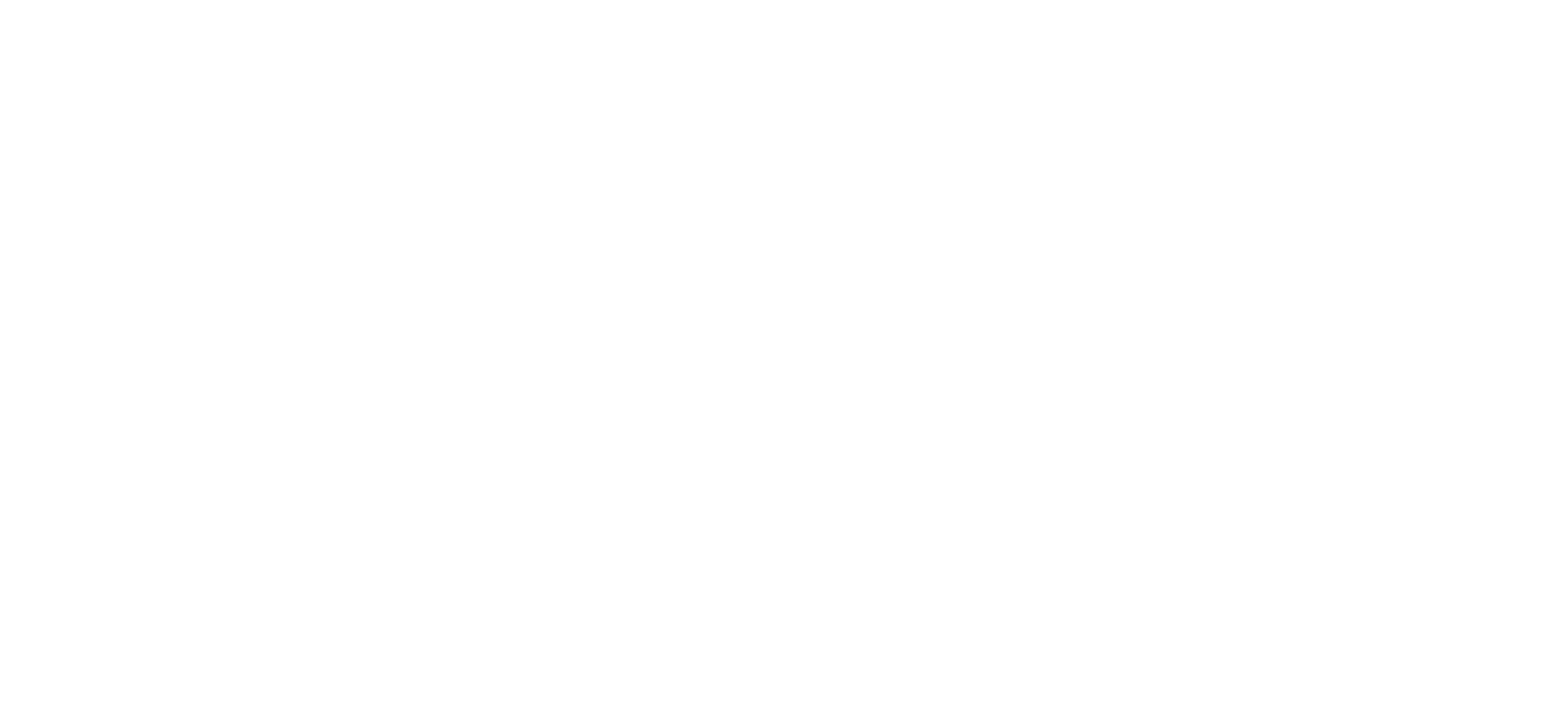 SXT_Logo_vereinfacht_weiss.png - SXT-Scooters