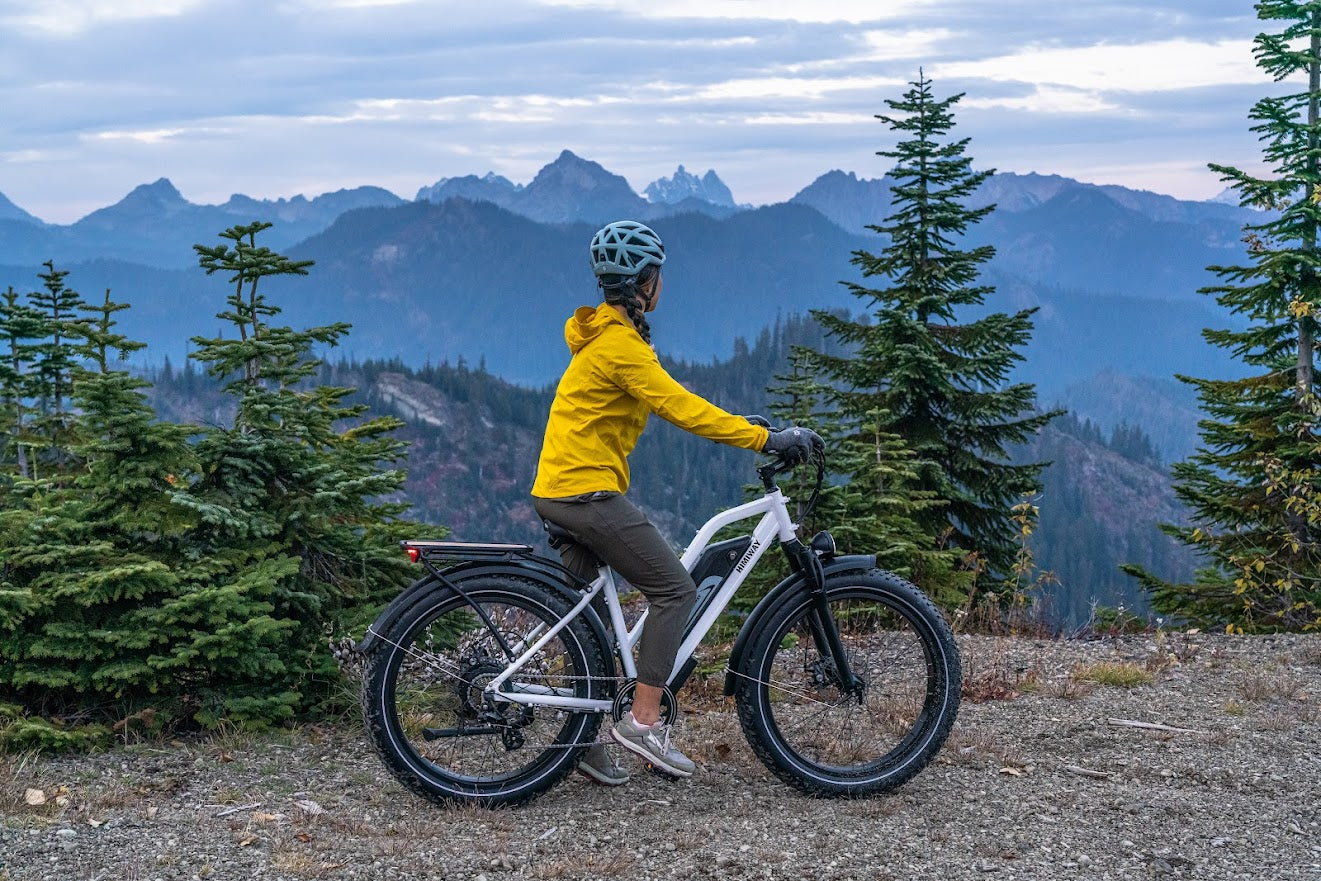 cruiser_stepthru-03.jpg - SXT-Scooters